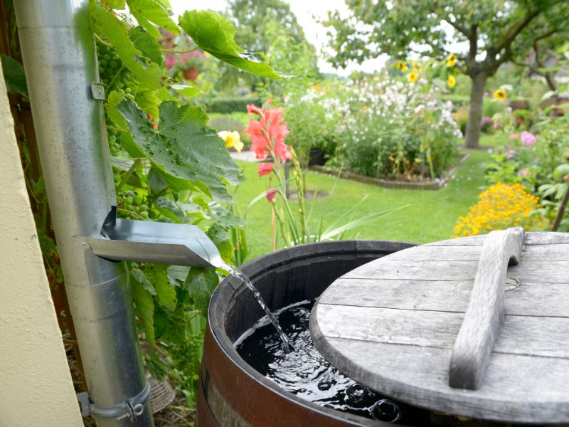 Rain barrel installation Chicago